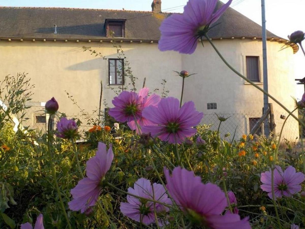Manoir De La Guignardiere : The Ou Cafe ? Chavagne 外观 照片